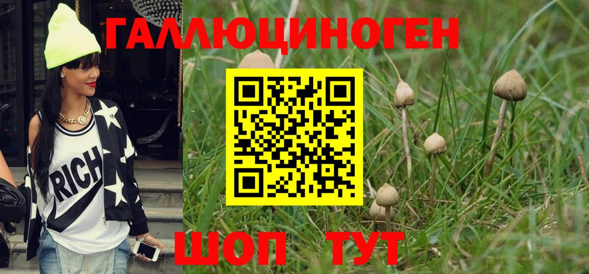 Чита  Псилоцибиновые грибы Magic Shrooms  Вход с VPN 